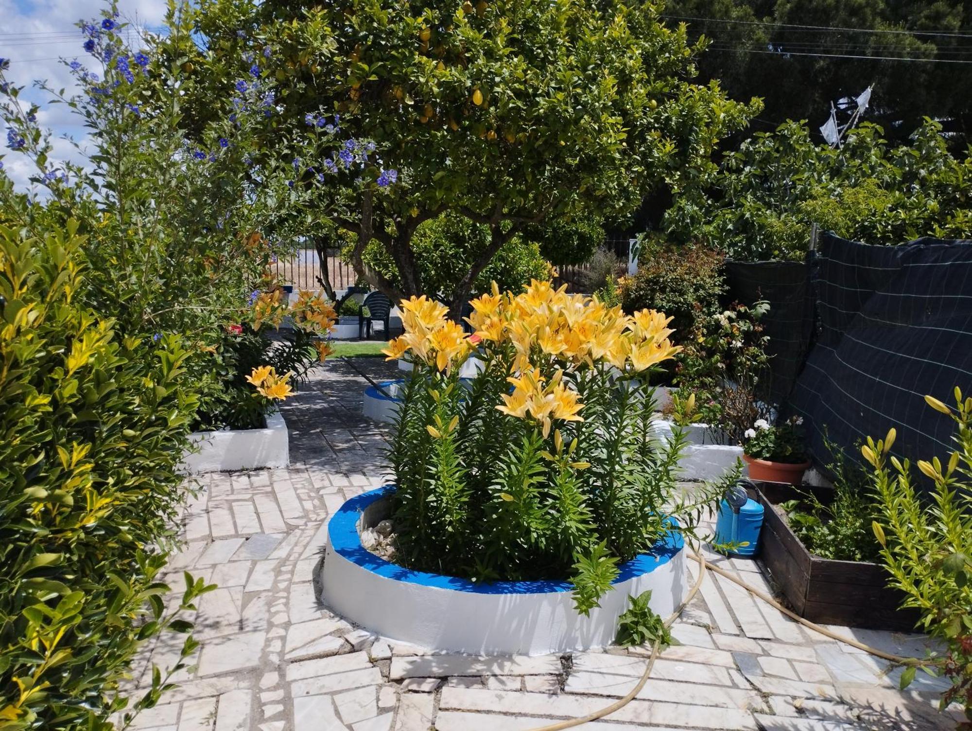 הוילה Grândola Monte Sol Nascente מראה חיצוני תמונה