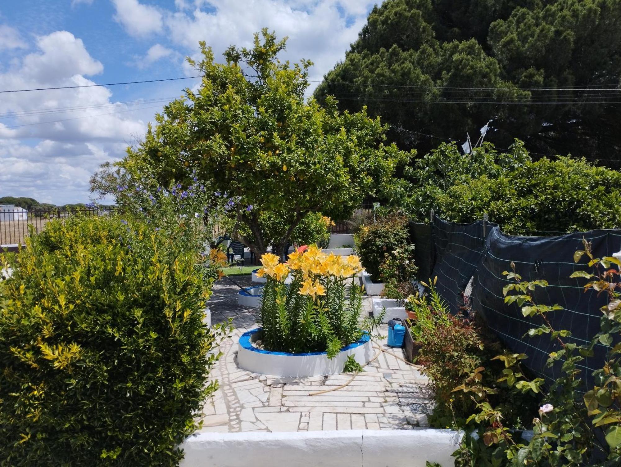 הוילה Grândola Monte Sol Nascente מראה חיצוני תמונה